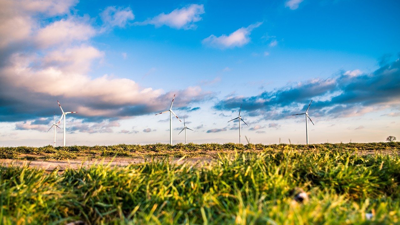 wind farm, energy, green